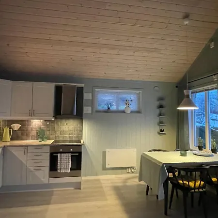 Sildpollnes בית נופש