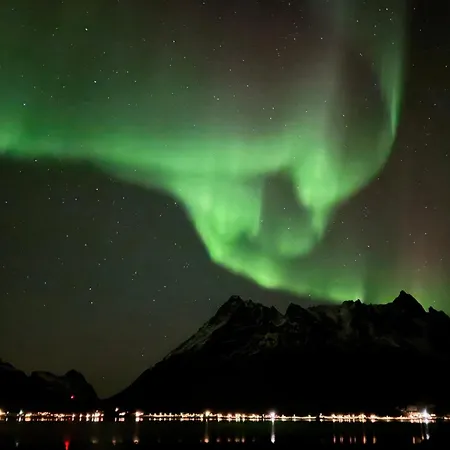 Sildpollnes בית נופש